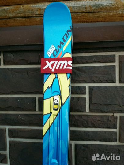 Горные лыжи