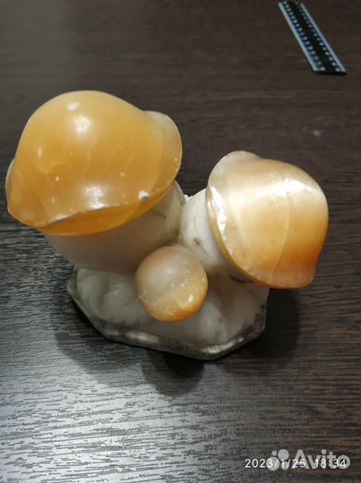 Грибы, мрамор