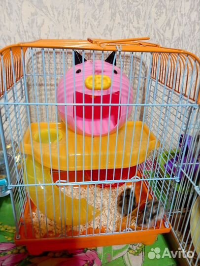 Джунгарский хомяк с клеткой