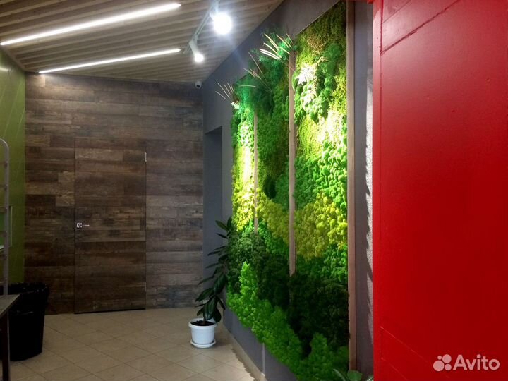 Фитостена и панно из стабилизированного мха