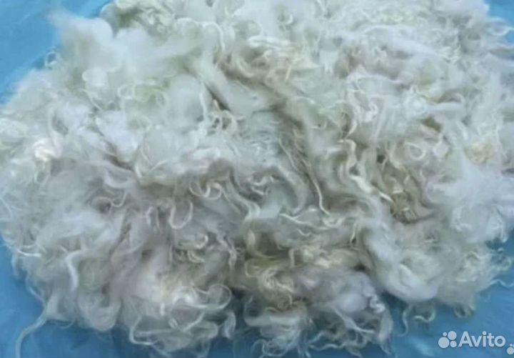 Шерсть овечья