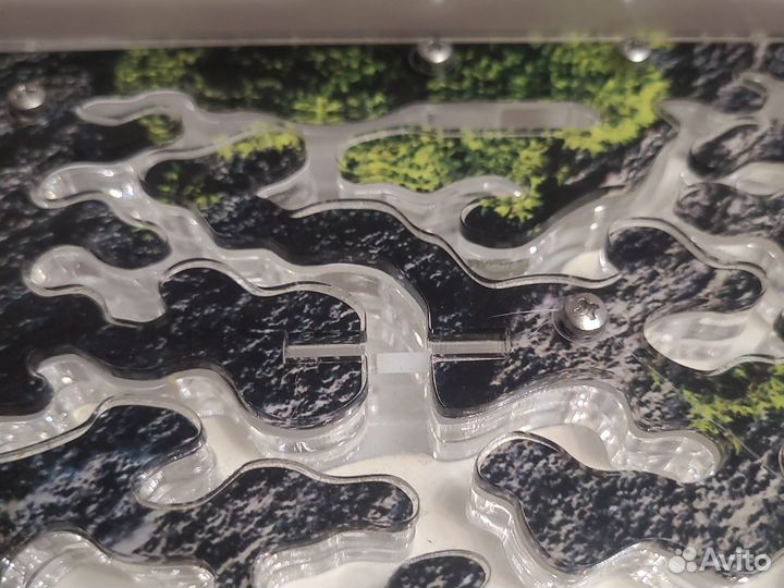 Формикарий для муравьев