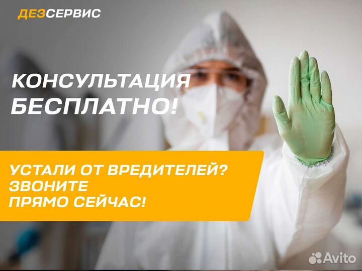 Уничтожение тараканов, клопов блох клещей мышей