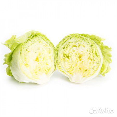 Семена Салата 