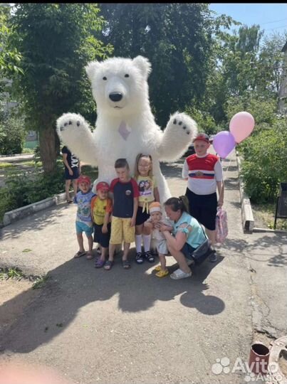 Белый Мишка Поздравление