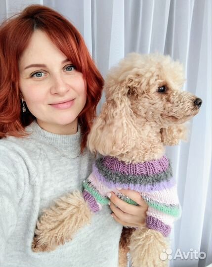 Одежда для маленьких собак