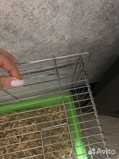 Клетка для грызунов большая