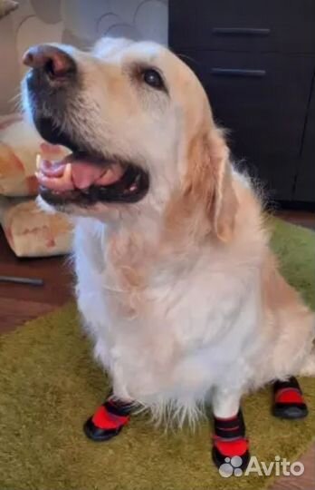 Собд3 ботинки для собак