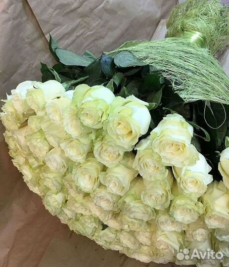 Розы Букеты Цветы Розы 31 101 151 201 Доставка