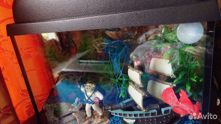Аквариум и прочие принадлежности для рыбки
