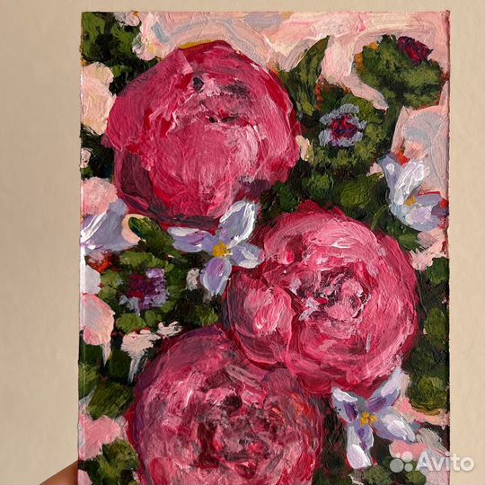 Картины с цветами розовые пионы 10/15 см