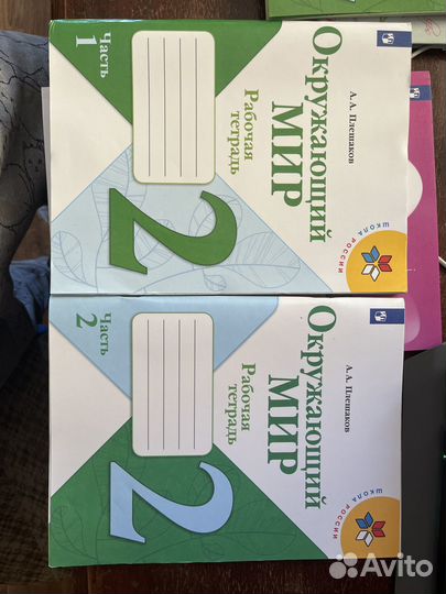 Окружающий мир 2 класс рабочая тетрадь Плешаков