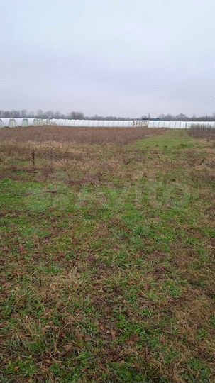 Участок 50 сот. (промназначения)