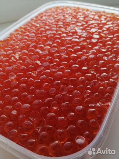 Икра красная кета 2022