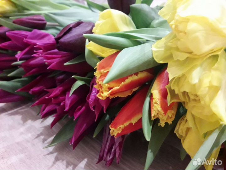 Тюльпаны на 8 марта, с доставкой