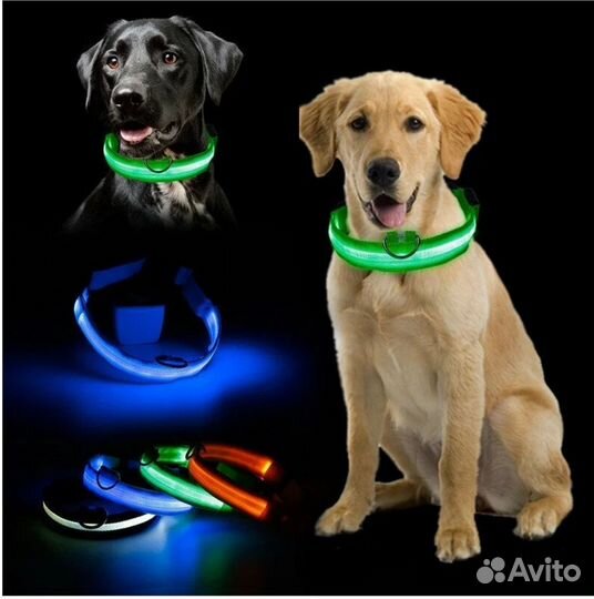 Светящийся ошейник для собак нейлоновый