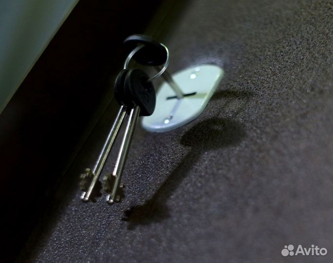 Дверь входная металлическая в квартиру