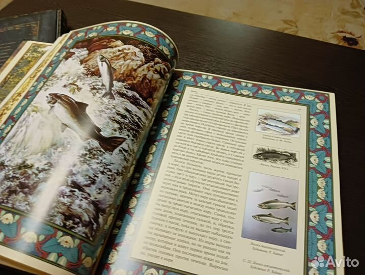 Книга 