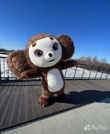 Белый медведь