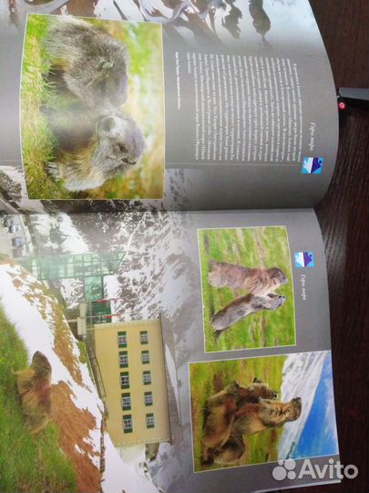 Энциклопедии на подарок формат а4