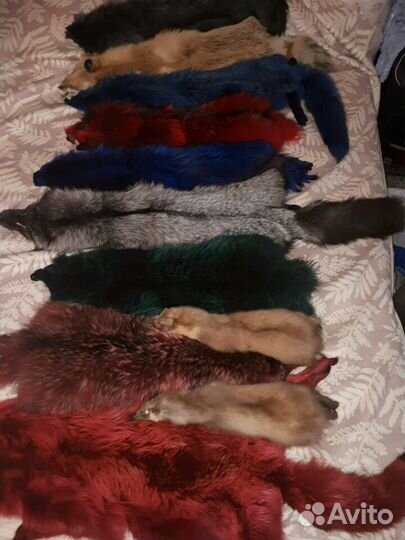 Большие шкурки лисы, Чернобурки 