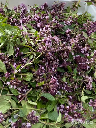 Чай травяной