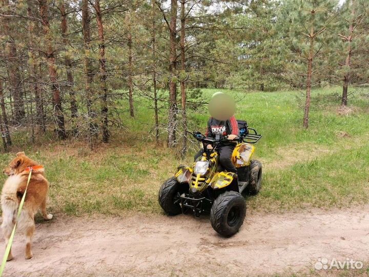 Квадроцикл GreenCamel GobiK70