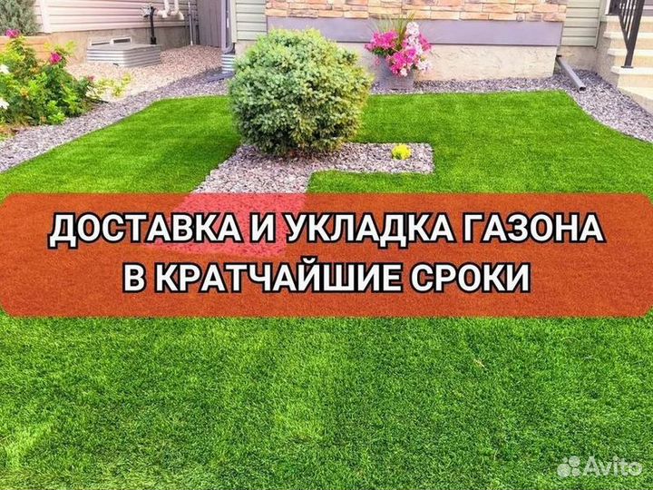 Рулонные газоны