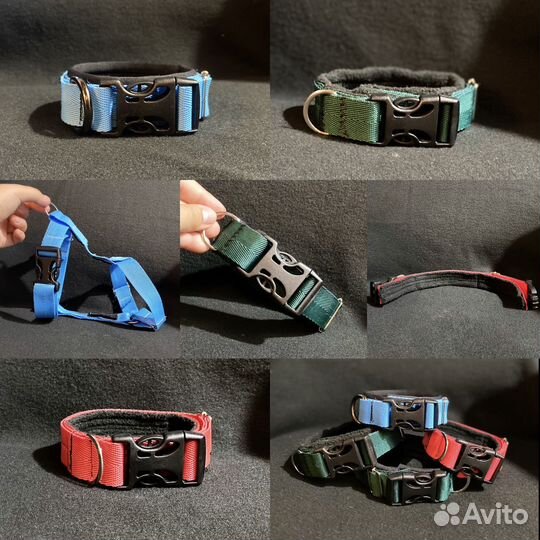 Ошейники и шлейки для собак