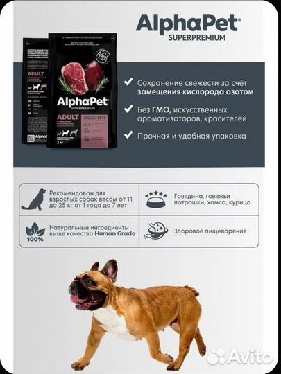 Корм для собак alpha pet