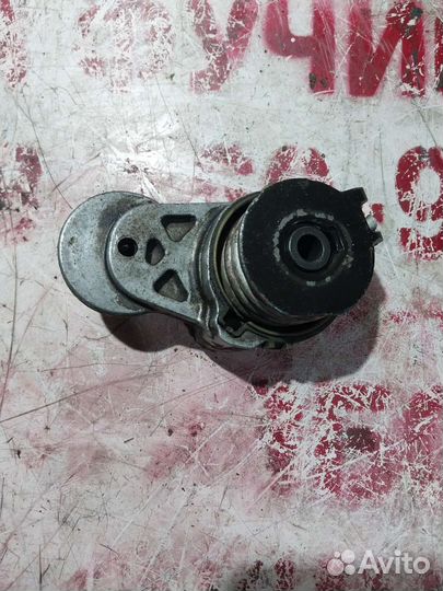 Натяжитель ремня opel astra h