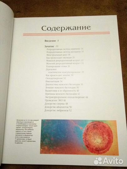 Профессор Питер Абрахамс 