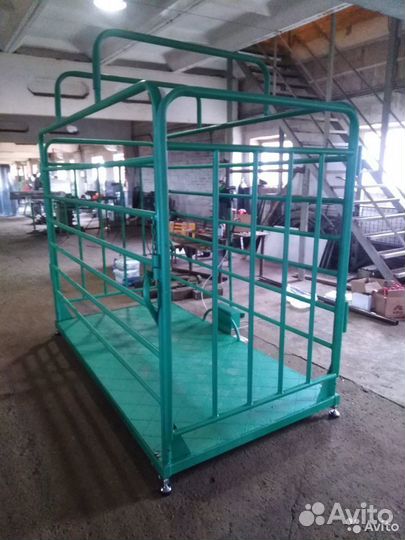 Весы для крс, Телят, Коров