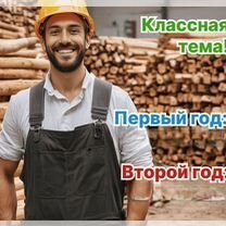 Агентство по деревообработке в городе, Тбилиси