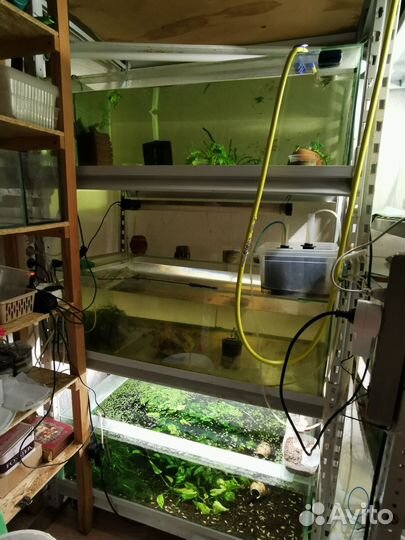 Аквариумы 170л, распределители воздуха