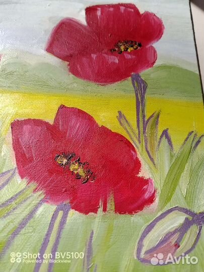 Картина маслом красные маки