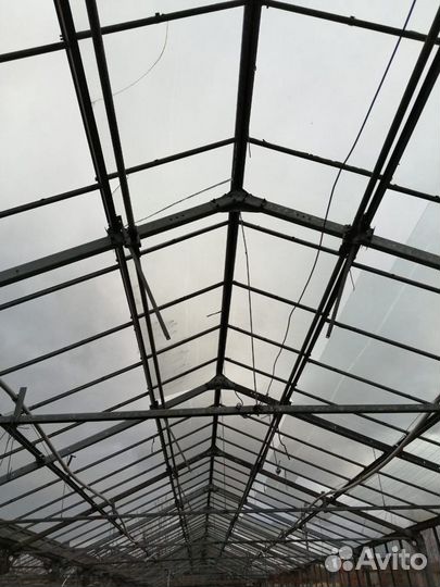 Теплицы антрацит 1 г