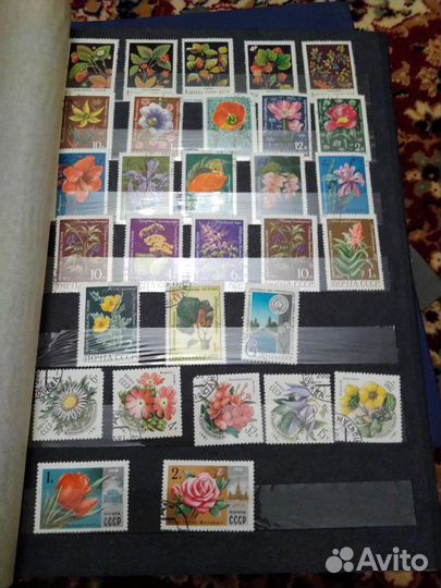 Альбомы с марками