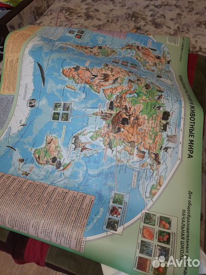 Карта мира огромная новая