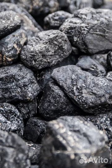 Купить уголь каменный кузбасский