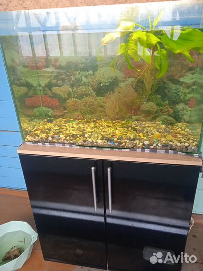 Аквариум