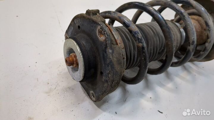 Амортизатор подвески левый передний Skoda Octavia (A5), 2009