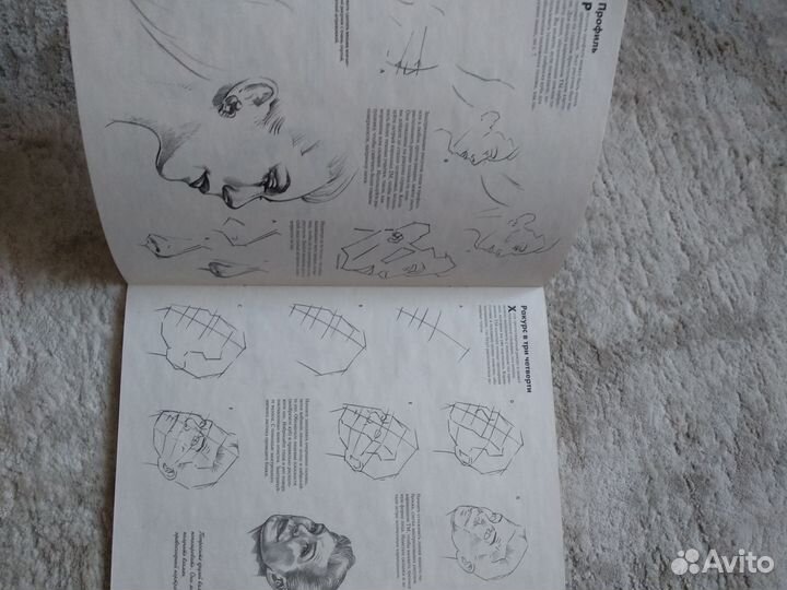 Рисуем голову и фигуру