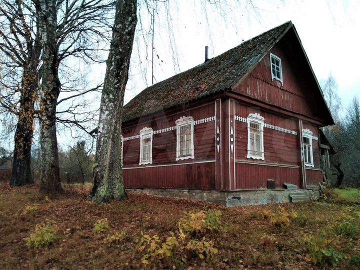 Дом 50 м² на участке 51 сот.