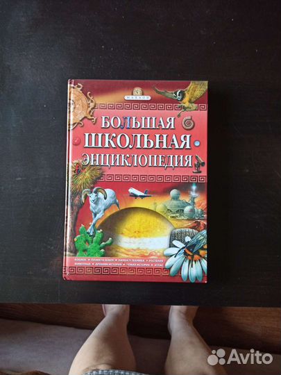 Большая школьная энциклопедия