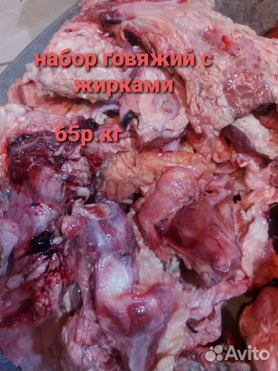 Корм для животных-собак