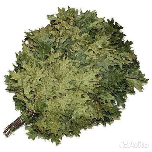 Веник из канадского дуба