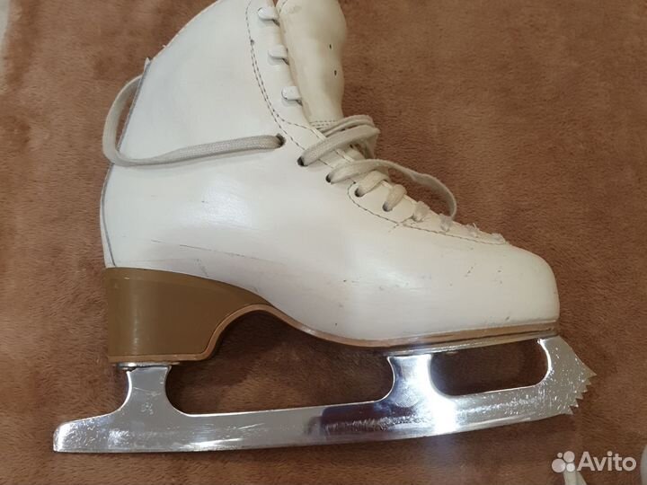 Фигурные коньки edea motivo 225