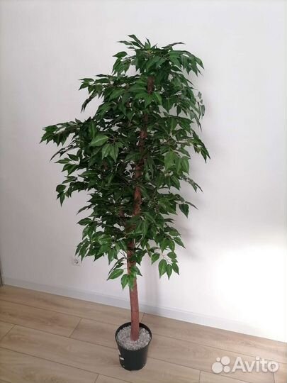 Дерево искусственное фикус