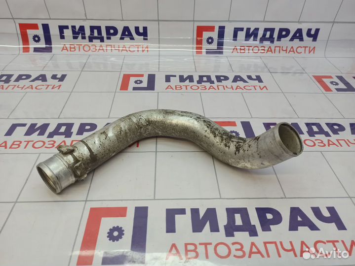 Патрубок интеркулера SsangYong Kyron (D200)